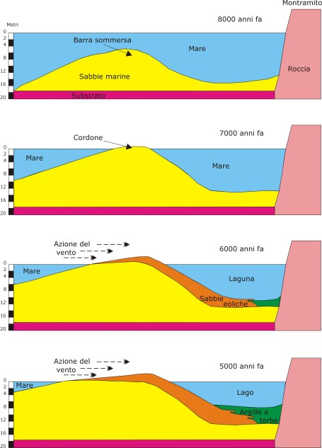 Sezioni da ovest a est, in prossimità di Viareggio (Toscana)